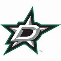 The Dallas Stars are Big and Bright 202//202